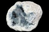 Large, Celestine (Celestite) Geode ( Lbs) - Large Crystals! #104615-3